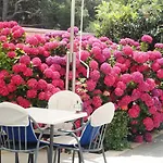 Daniela Hotel Bol